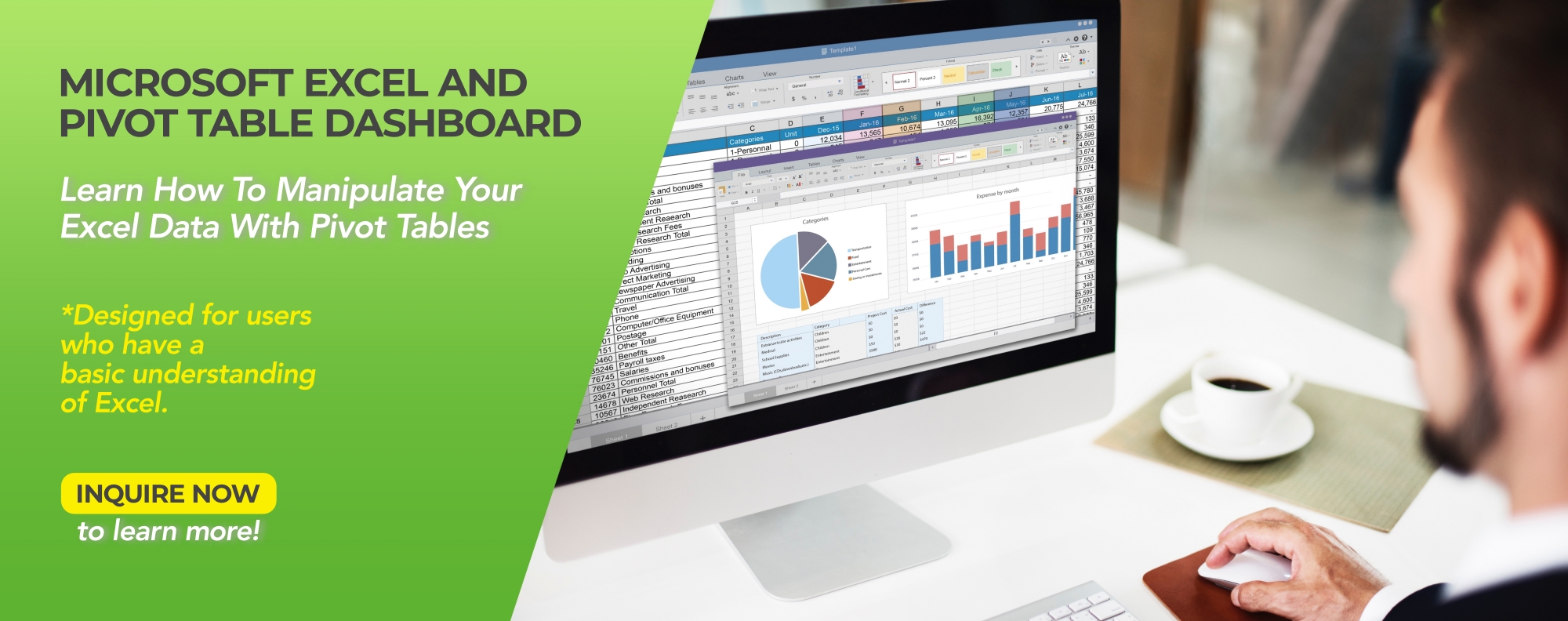 Microsoft Excel & Pivot Table Dashboard