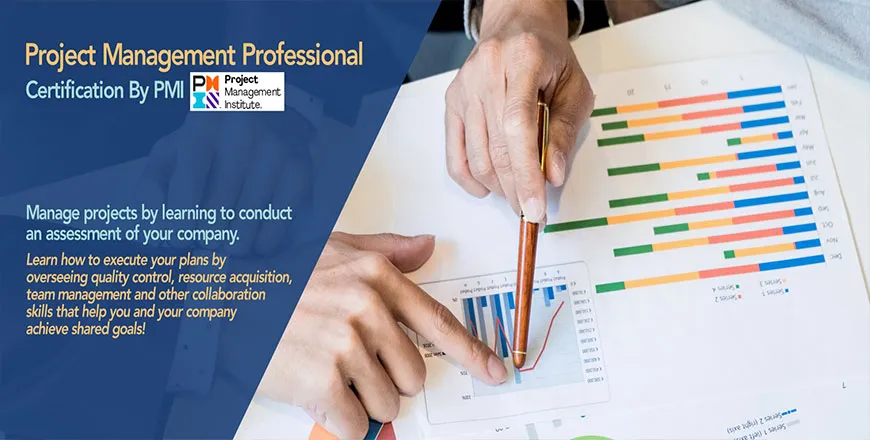 Project Management Professional